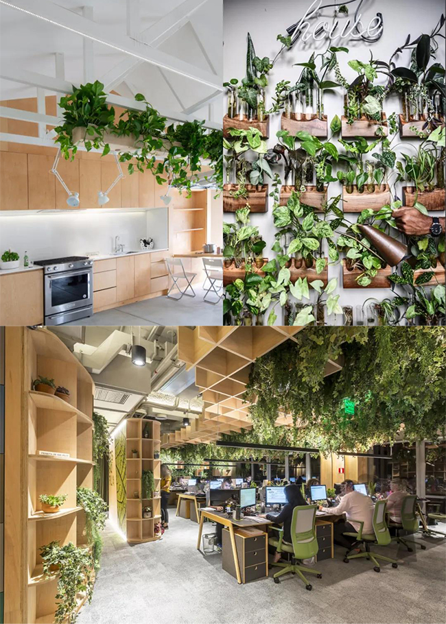 �H�����OӋ