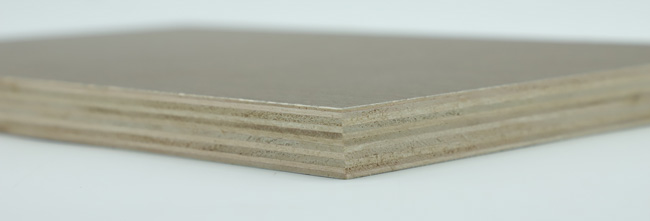 �����¹��x��ʲô���