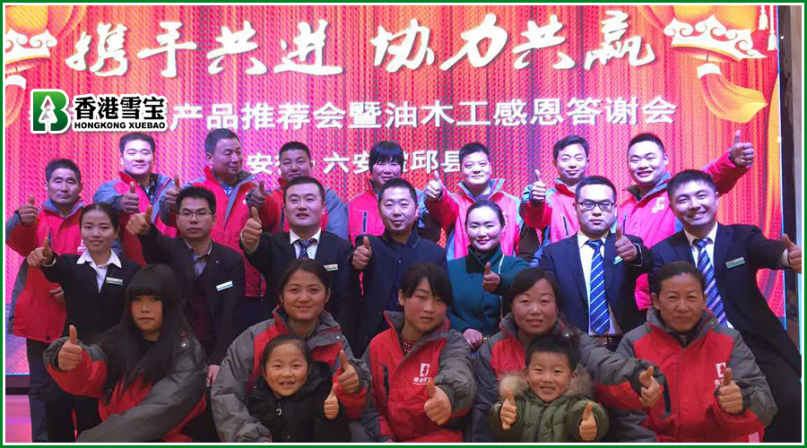 板材十大品牌-安徽霍邱《攜手共進•協(xié)力共贏》雪寶產(chǎn)品推薦會