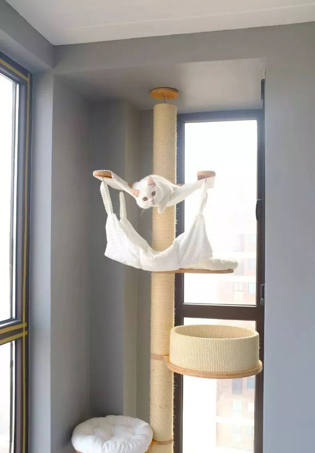 ���Ќ�������b���Լ��ļ��أ��@Щ�����܎��톢�l(f��)��