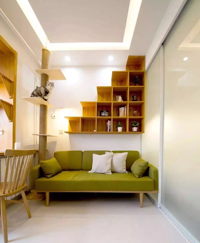 ���Ќ�������b���Լ��ļ��أ��@Щ�����܎��톢�l(f��)��