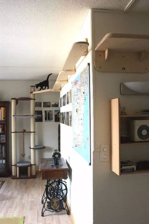 ���Ќ�������b���Լ��ļ��أ��@Щ�����܎��톢�l(f��)��