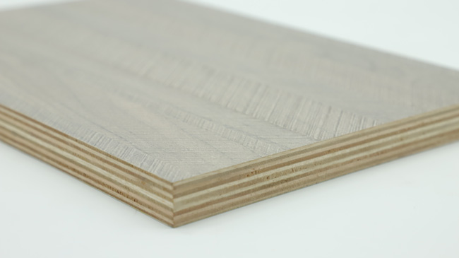 ���w�¹���ʲô��ı��^�h��